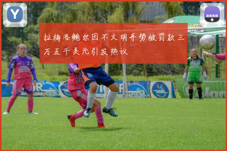拉梅洛鲍尔因不文明手势被罚款三万五千美元引发热议