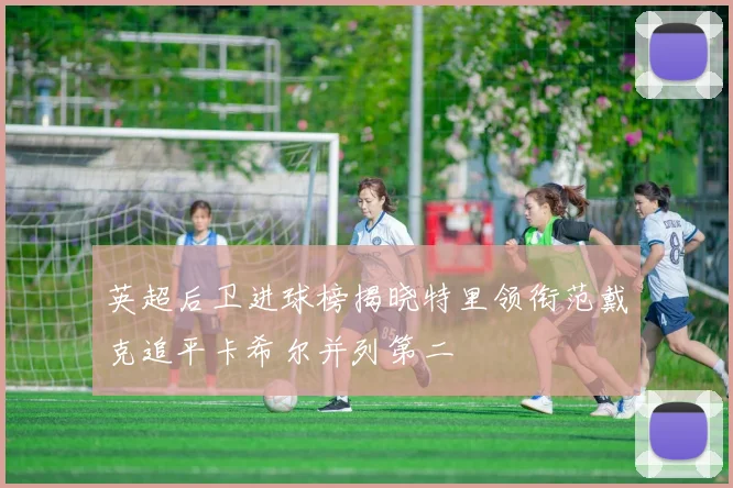 英超后卫进球榜揭晓特里领衔范戴克追平卡希尔并列第二
